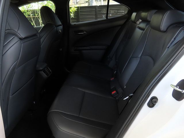 LEXUS UX300h
