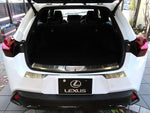 LEXUS UX300h