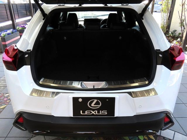 LEXUS UX300h