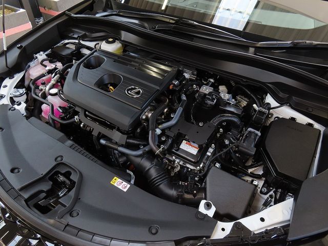 LEXUS UX300h