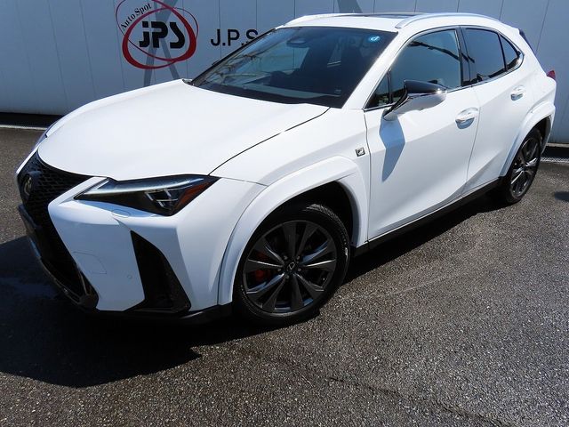 LEXUS UX300h