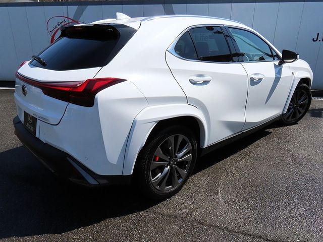 LEXUS UX300h