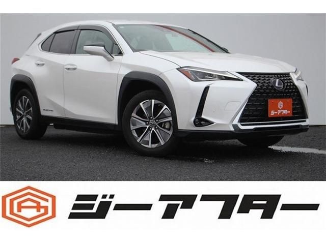 LEXUS UX300e