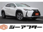 LEXUS UX300e