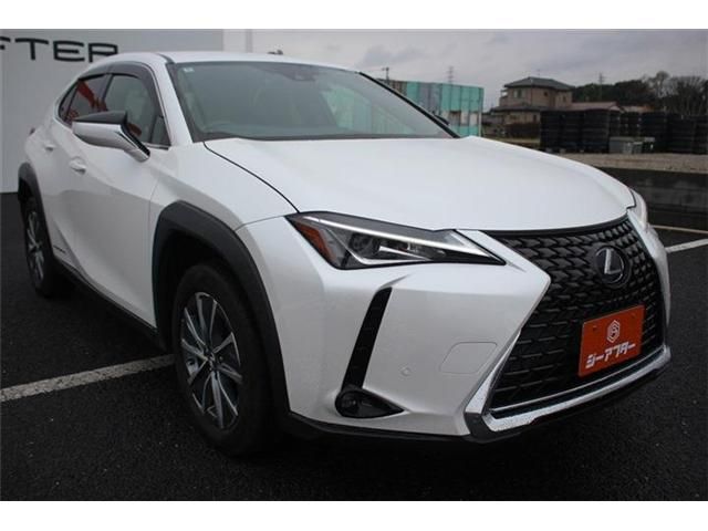 LEXUS UX300e