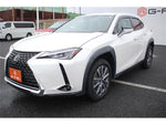 LEXUS UX300e
