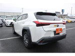 LEXUS UX300e