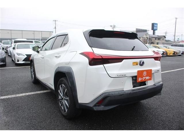 LEXUS UX300e
