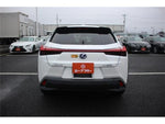 LEXUS UX300e