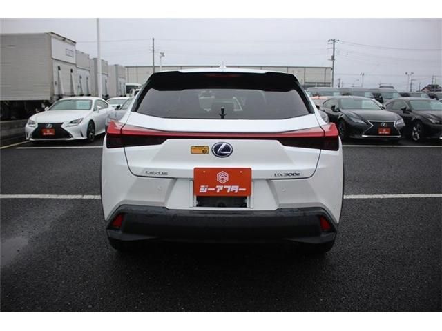 LEXUS UX300e