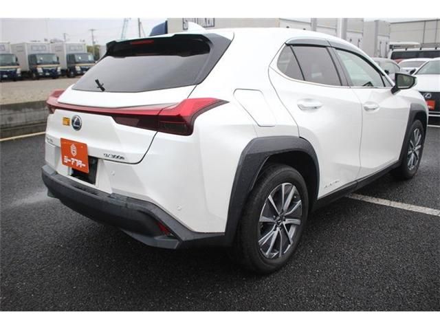 LEXUS UX300e