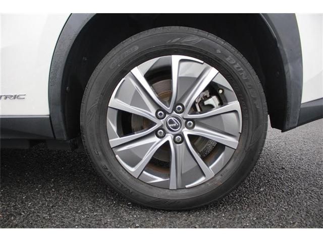 LEXUS UX300e