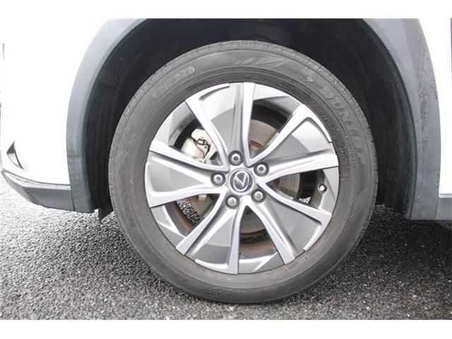 LEXUS UX300e