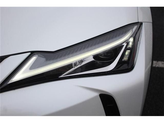 LEXUS UX300e