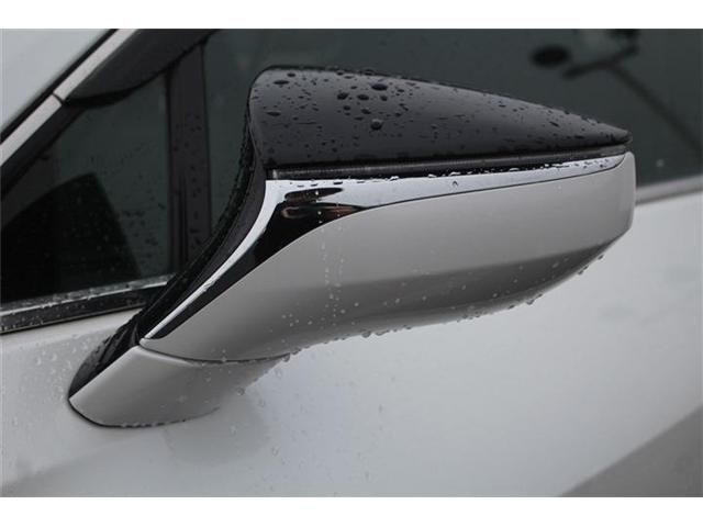 LEXUS UX300e