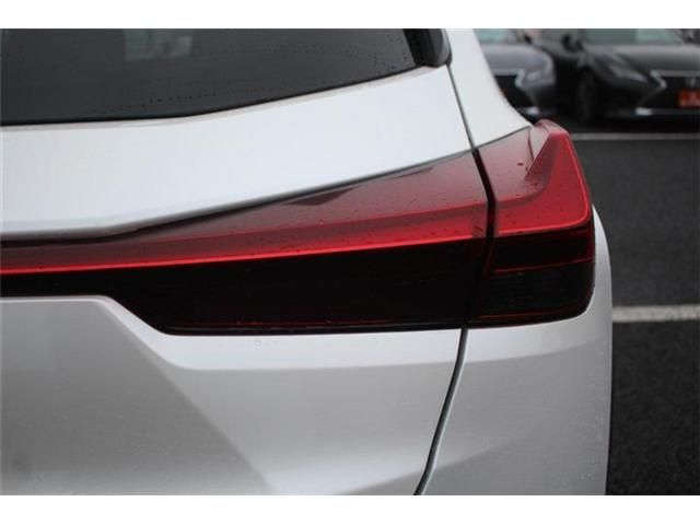 LEXUS UX300e