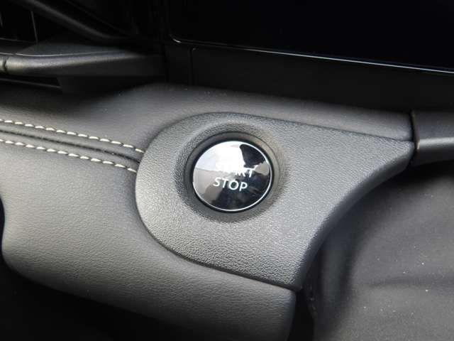 SERENA  WG 4WD