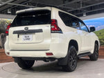 LANDCRUISER PRADO