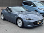 ROADSTER