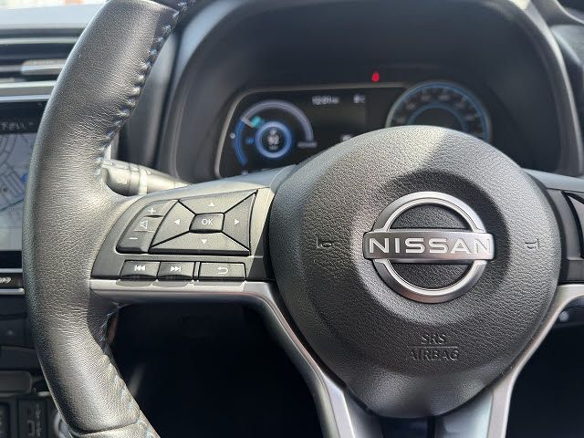 LEAF