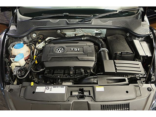 VOLKSWAGEN The BEETLE