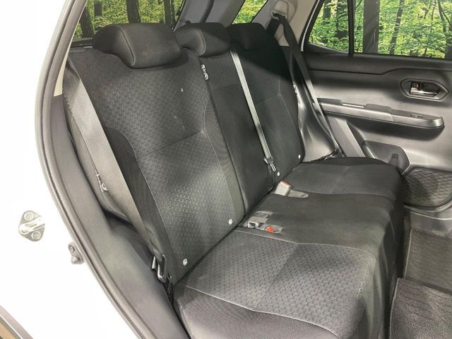 RAIZE