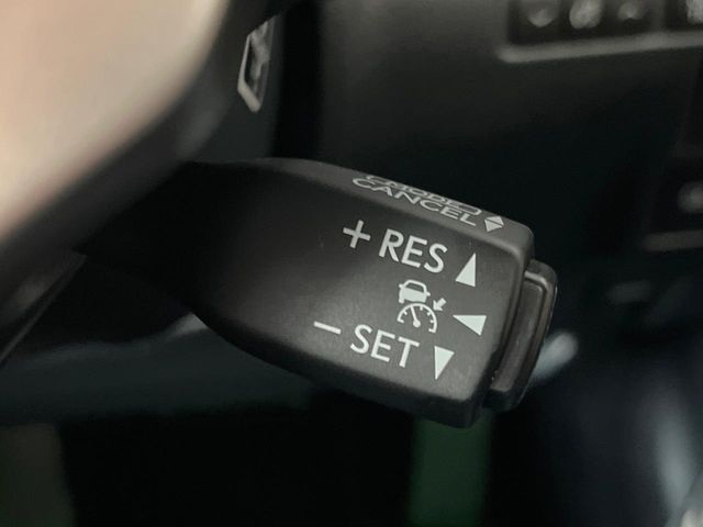 LEXUS IS300h
