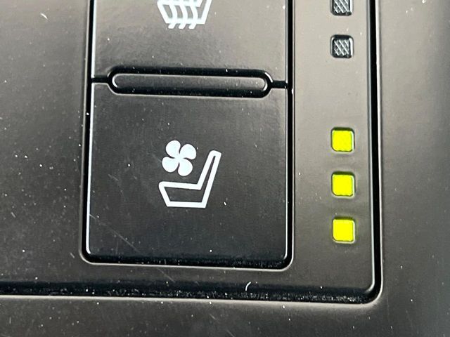 LEXUS IS300h