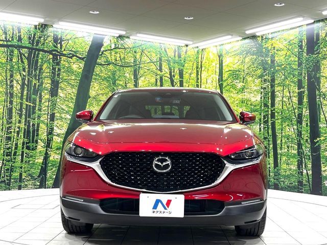 CX-30