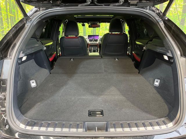 LEXUS NX300h
