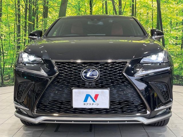LEXUS NX300h