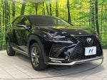 LEXUS NX300h