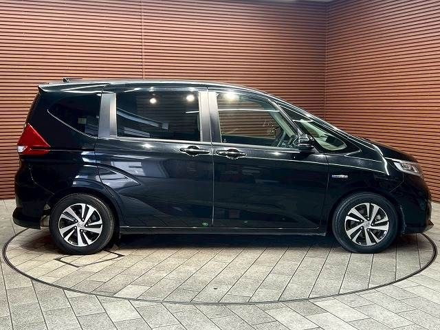 FREED plus HYBRID
