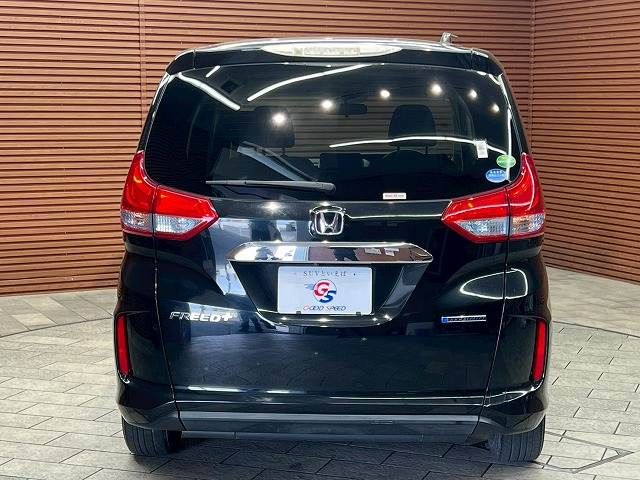 FREED plus HYBRID