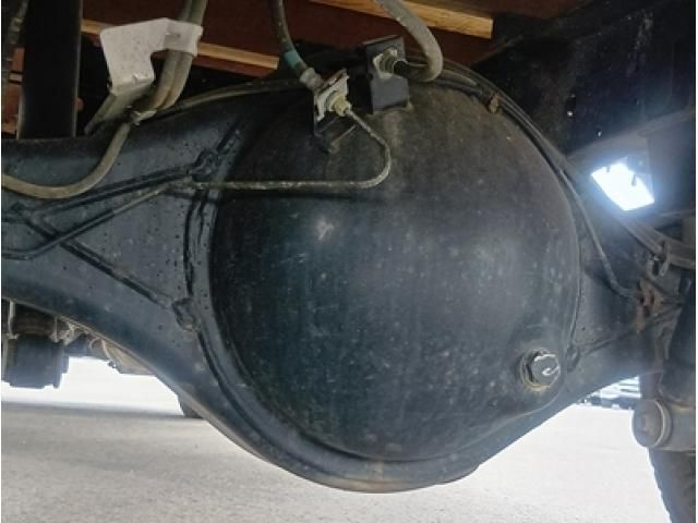 ELF