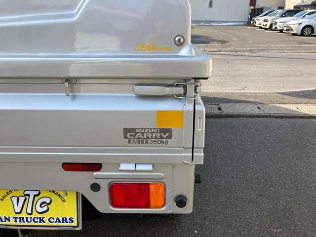 Super CARRY truck 4WD