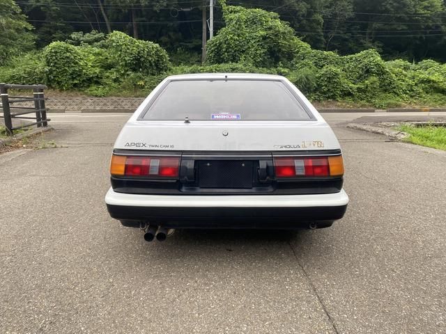 COROLLA LEVIN