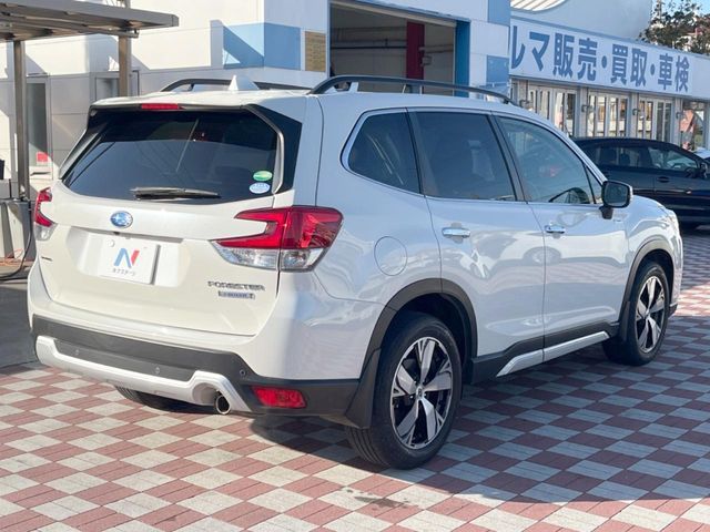 FORESTER