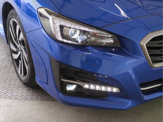 LEVORG