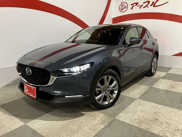 CX-30