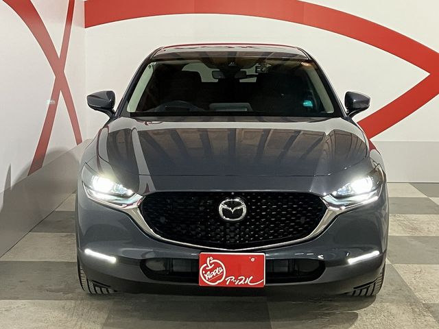 CX-30