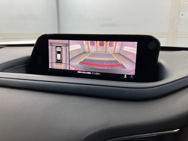 CX-30