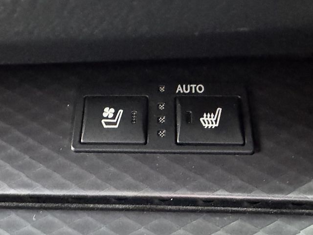 LEXUS GS300h