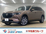 CX-80