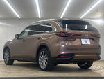 CX-80