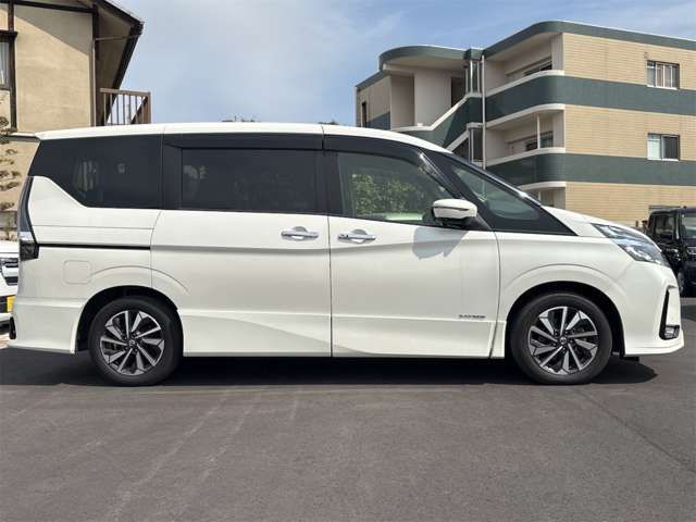 SERENA  S-HYBRID