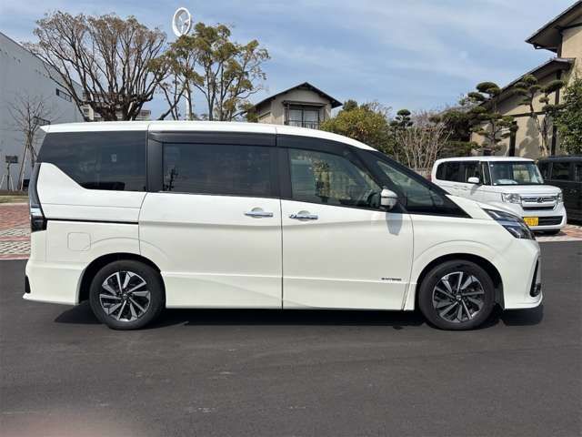 SERENA  S-HYBRID