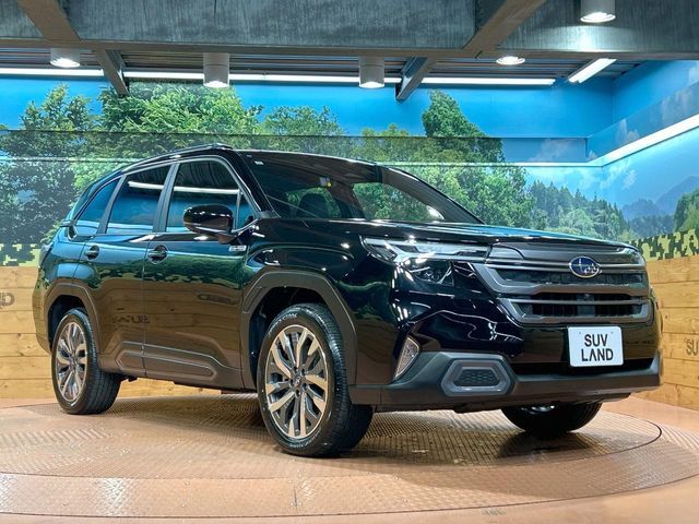 FORESTER