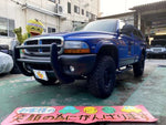 DODGE DAKOTA 2WD
