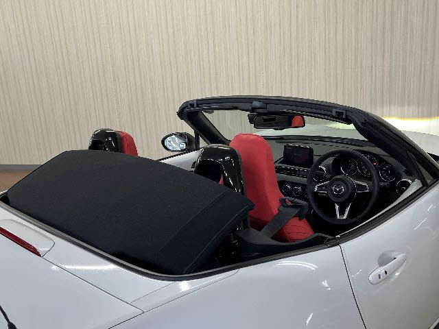 ROADSTER